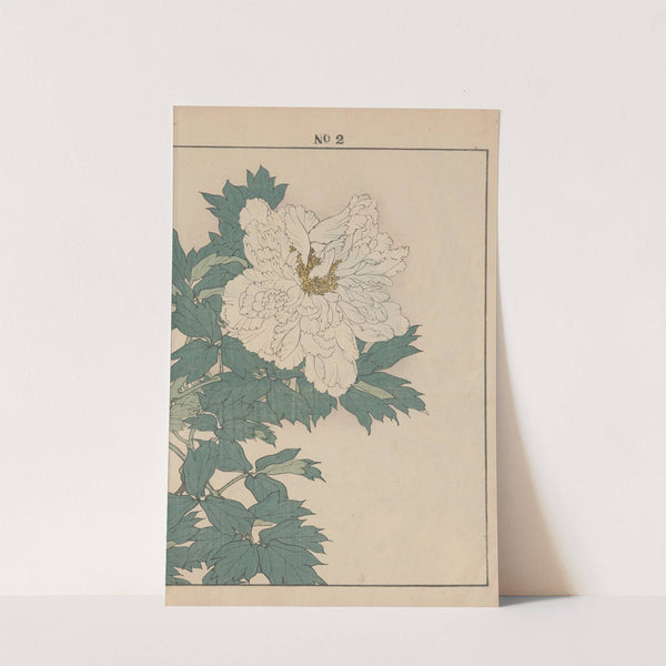 Keinen kachō gafu Pl.084 (1891) by Imao Keinen