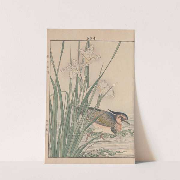 Keinen kachō gafu Pl.087 (1891) by Imao Keinen