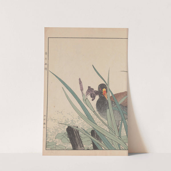 Keinen kachō gafu Pl.093 (1891) by Imao Keinen