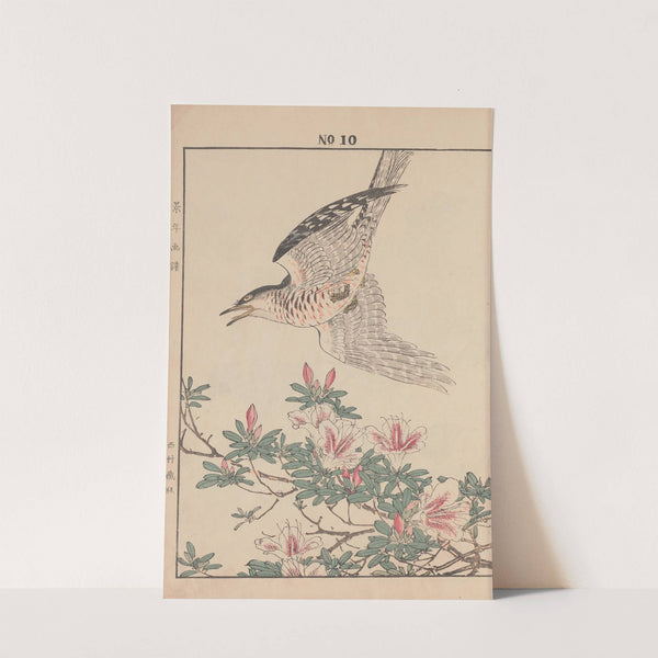 Keinen kachō gafu Pl.095 (1891) by Imao Keinen