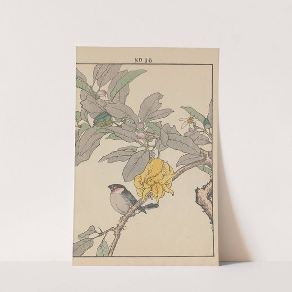 Keinen kachō gafu Pl.102 (1891) by Imao Keinen