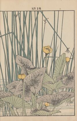 Keinen kachō gafu Pl.104