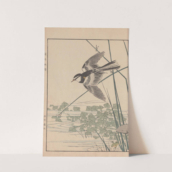 Keinen kachō gafu Pl.105 (1891) by Imao Keinen