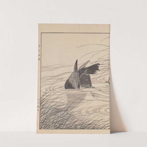 Keinen kachō gafu Pl.107 (1891) by Imao Keinen