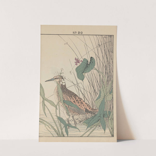 Keinen kachō gafu Pl.108 (1891) by Imao Keinen