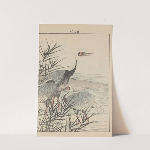 Keinen kachō gafu Pl.110 (1891) by Imao Keinen