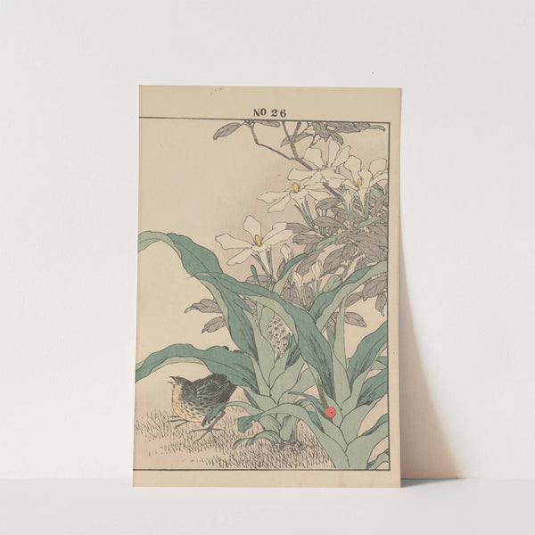 Keinen kachō gafu Pl.116 (1891) by Imao Keinen