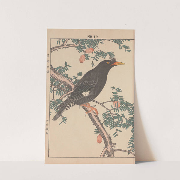 Keinen kachō gafu Pl.141 (1891) by Imao Keinen