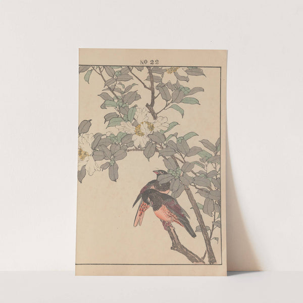 Keinen kachō gafu Pl.146 (1891) by Imao Keinen