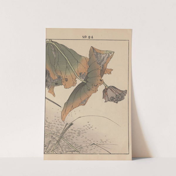 Keinen kachō gafu Pl.148 (1891) by Imao Keinen