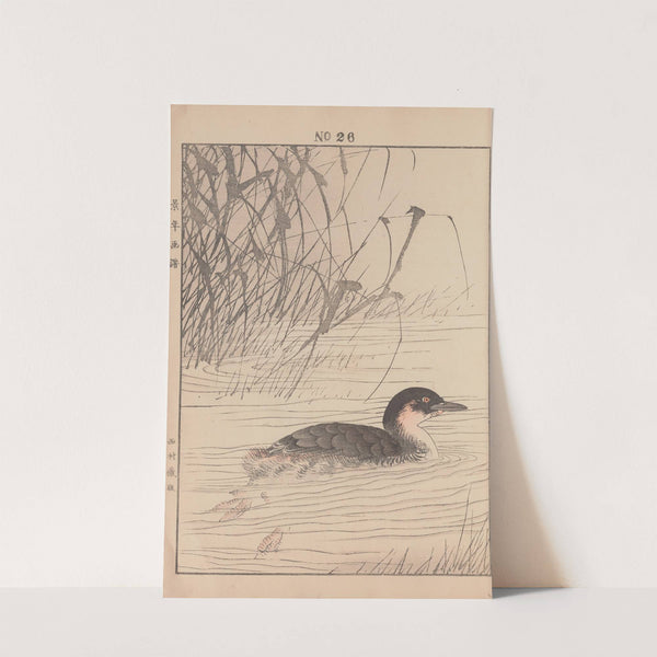 Keinen kachō gafu Pl.151 (1891) by Imao Keinen