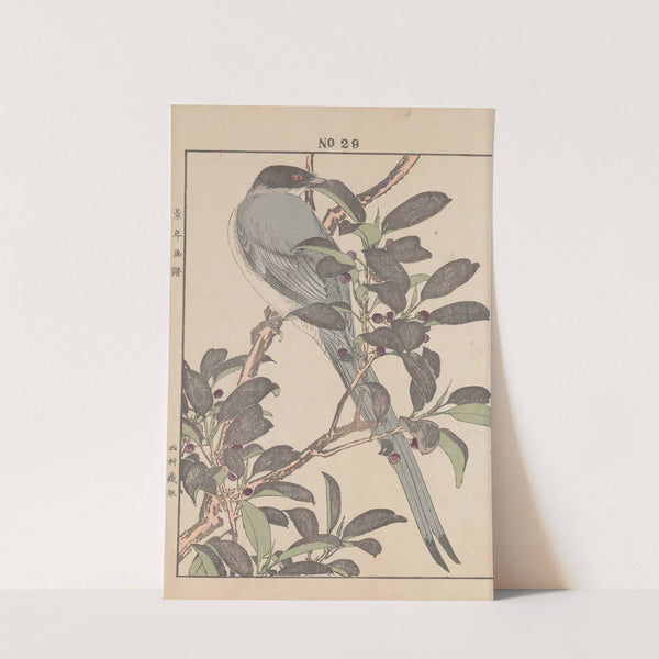 Keinen kachō gafu Pl.157 (1891) by Imao Keinen