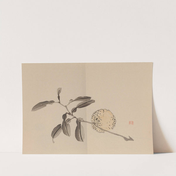 Keinen shūgajō Pl.09 (1906) by Imao Keinen