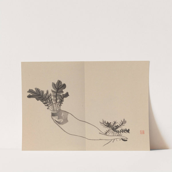 Keinen shūgajō Pl.11 (1906) by Imao Keinen