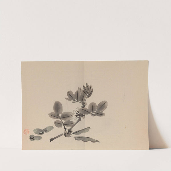 Keinen shūgajō Pl.17 (1906) by Imao Keinen