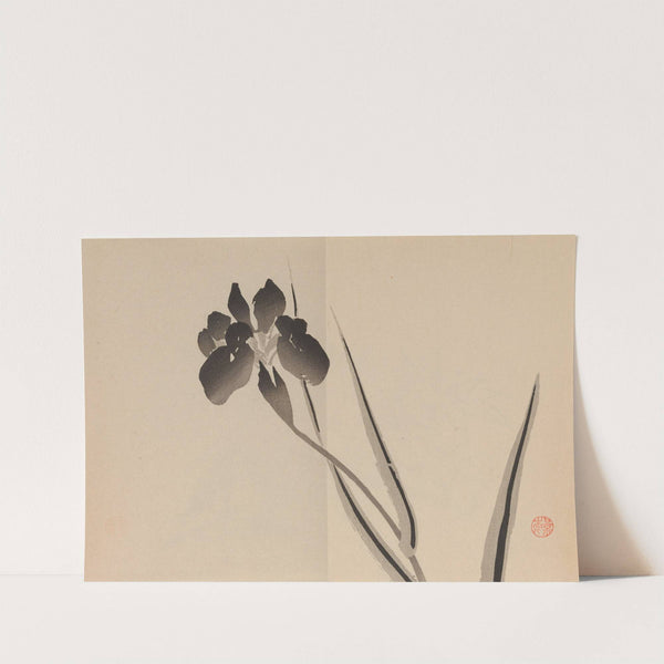 Keinen shūgajō Pl.21 (1906) by Imao Keinen