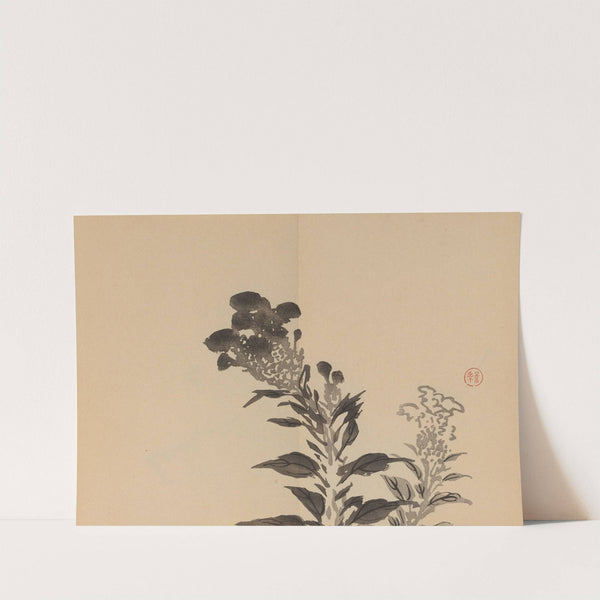 Keinen shūgajō Pl.29 (1906) by Imao Keinen