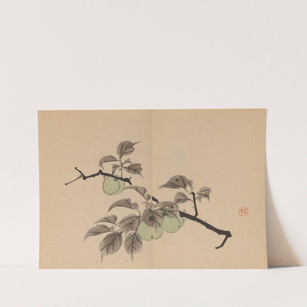 Keinen shūgajō Pl.30 (1906) by Imao Keinen