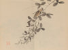 Keinen shūgajō Pl.40