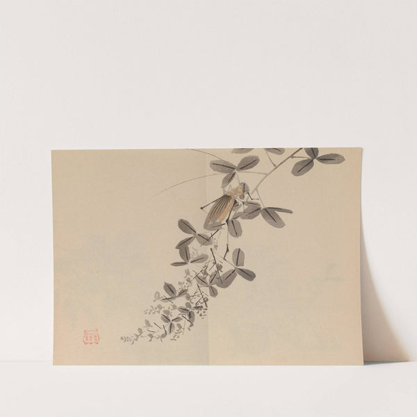 Keinen shūgajō Pl.40 (1906) by Imao Keinen