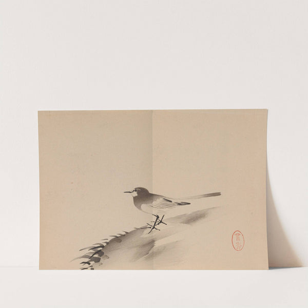 Keinen shūgajō Pl.49 (1906) by Imao Keinen