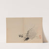 Keinen shūgajō Pl.55 (1906) by Imao Keinen
