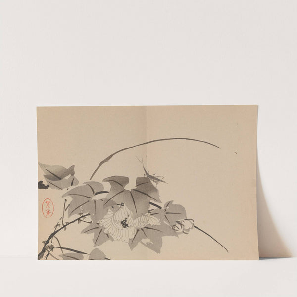 Keinen shūgajō Pl.56 (1906) by Imao Keinen