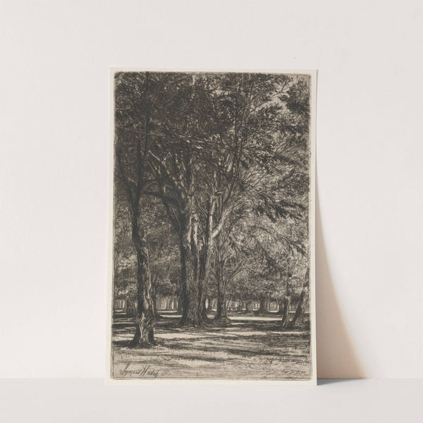 Kensington Gardens, no. 2 (1860) by Francis Seymour Haden