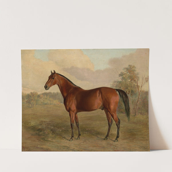 Kentucky Woodpecker (1834) by Edward Troye