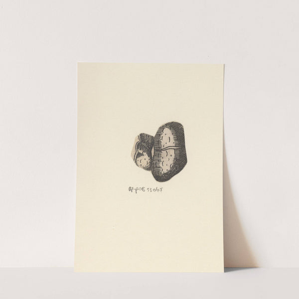 Kidney by Lucas Kilian