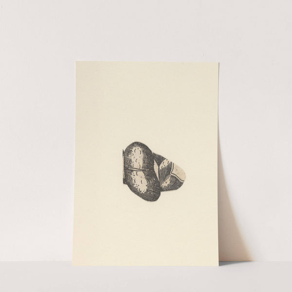 Kidney. by Lucas Kilian