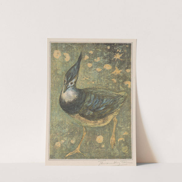 Kievit by Theo van Hoytema