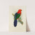 King Parrot, or Parrakeet (1884-1887) by Alexander Francis Lydon