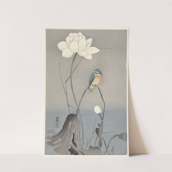 Kingfisher with Lotus Flower by Ohara Koson