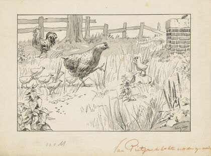 Kip en kuikens in een omheind veld