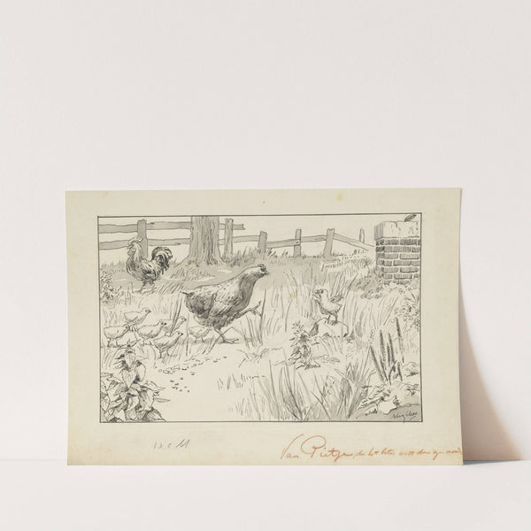 Kip en kuikens in een omheind veld by Felix Hess
