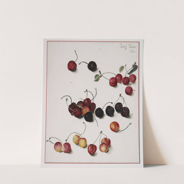 Kirschen by Josef Lauer