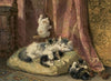 Kittens at Play