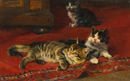 Kittens