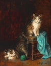 Kittens Playing – The Model