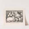 Kitties among the roses (1873) by Currier & Ives.