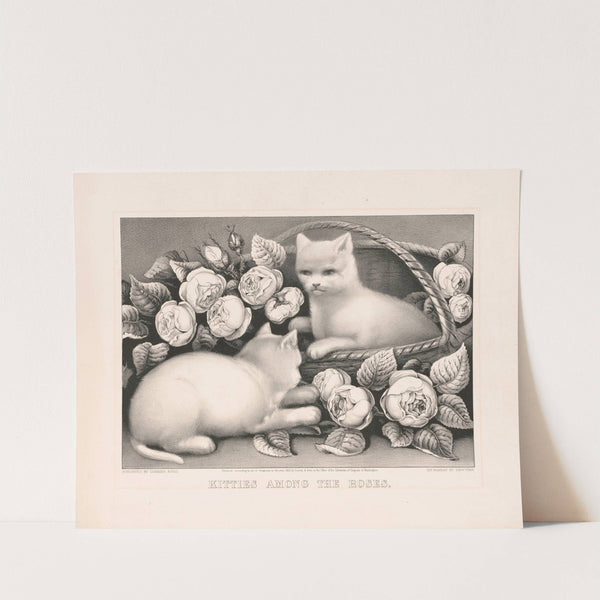 Kitties among the roses (1873) by Currier & Ives.