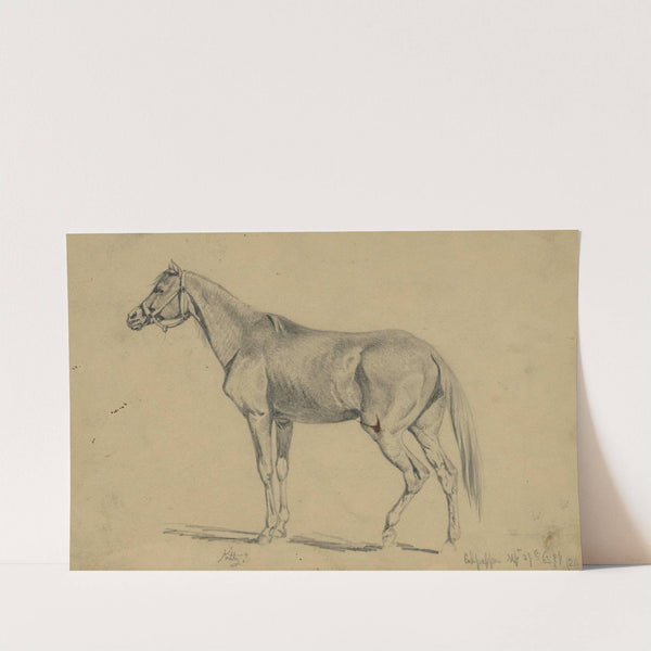 Kitty. Edwin Forbe's mare that he rode from 1862-1865 by Edwin Forbes