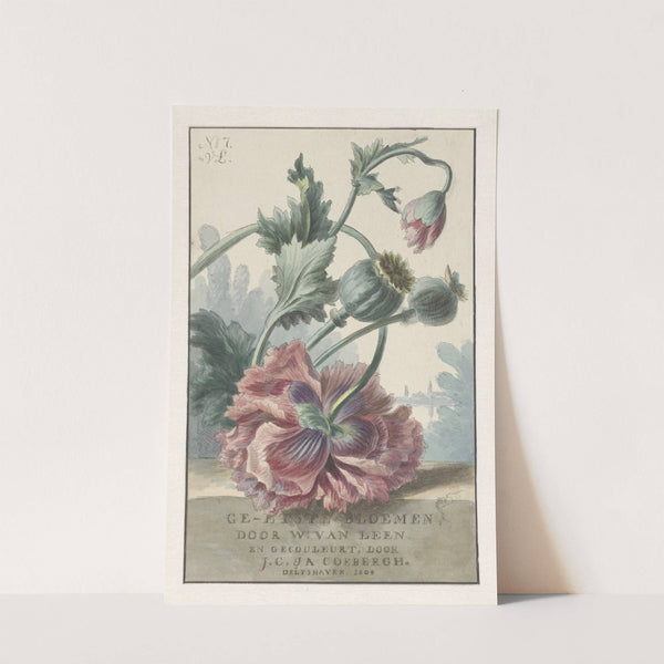 Klaprozen by Willem van Leen