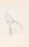 Kleiner Steinbock (1913)