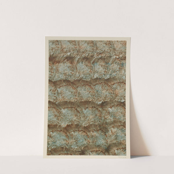Kleisterpapier (1885 - 1907) by Gertrud Morawe