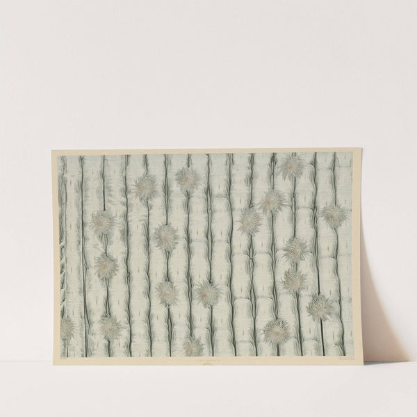 Kleisterpapier (Blüten) (1900) by Lilli Behrens