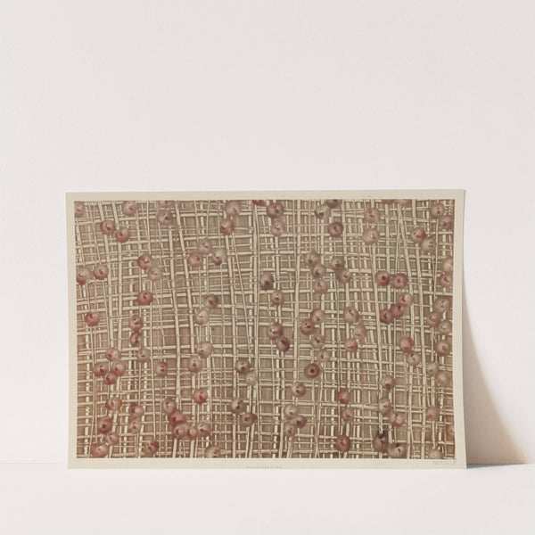 Kleisterpapier (Gitterdekor) (1900) by Wilhelm Rauch
