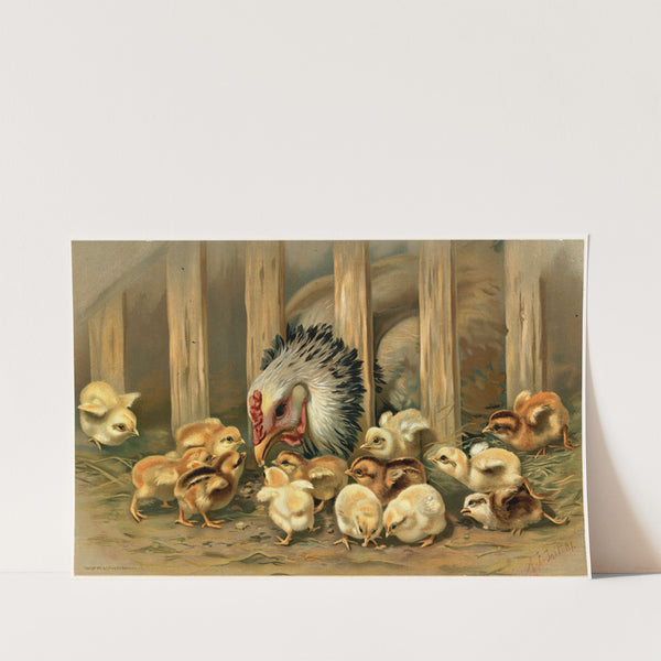 Kluck! Kluck! (1891) by Arthur Fitzwilliam Tait