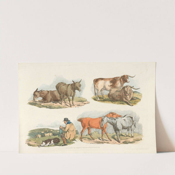 Knitting shepherd (1817-1818) by Henry Thomas Alken